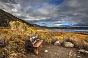 Mono Lake bench-8746